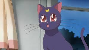Luna Luna