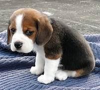no it sucks so bad I'm sad all the time no it sucks so bad I'm sad all the time
