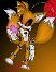 Tails doll? ? ?