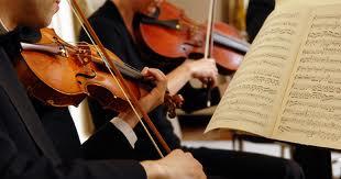 musician musician