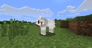 Wolf Wolf