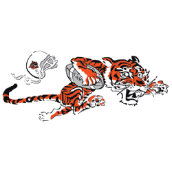 Cincinnati Bengals