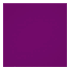 Violet Violet