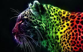 ANIMALS ANIMALS
