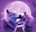 love wolfs