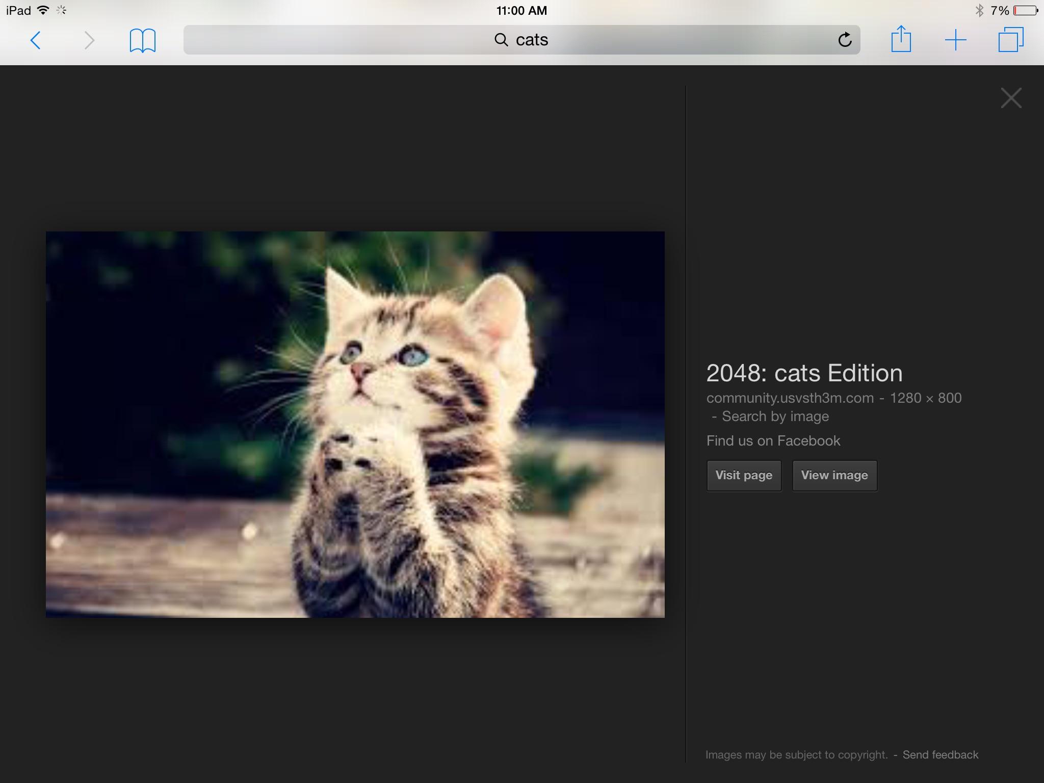 THIS ONE! THIS ONE!