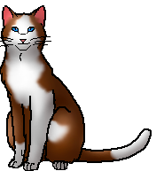 Brightwhisker Brightwhisker
