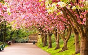 Spring Spring