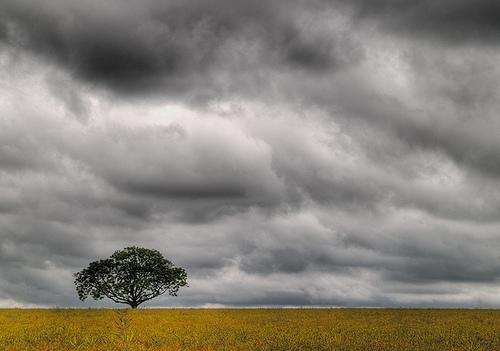 Cloudy Cloudy