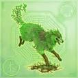 Earth wolf Earth wolf