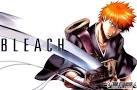 Bleach Bleach