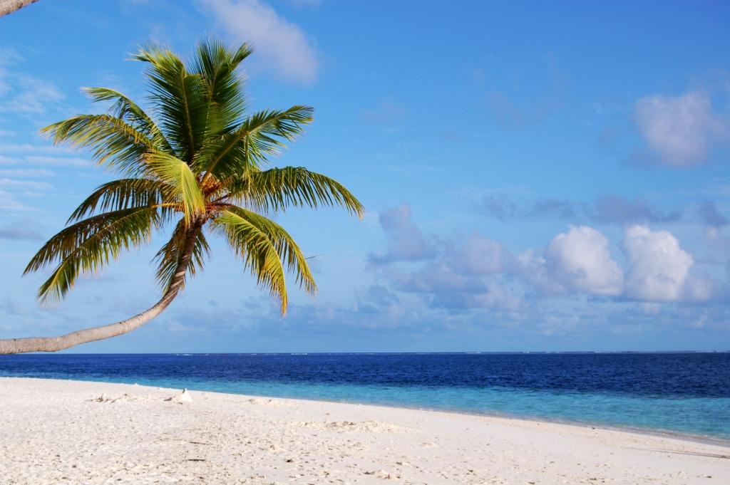 Paradise, even if i don't know how it looks like... Paradise, even if i don't know how it looks like...