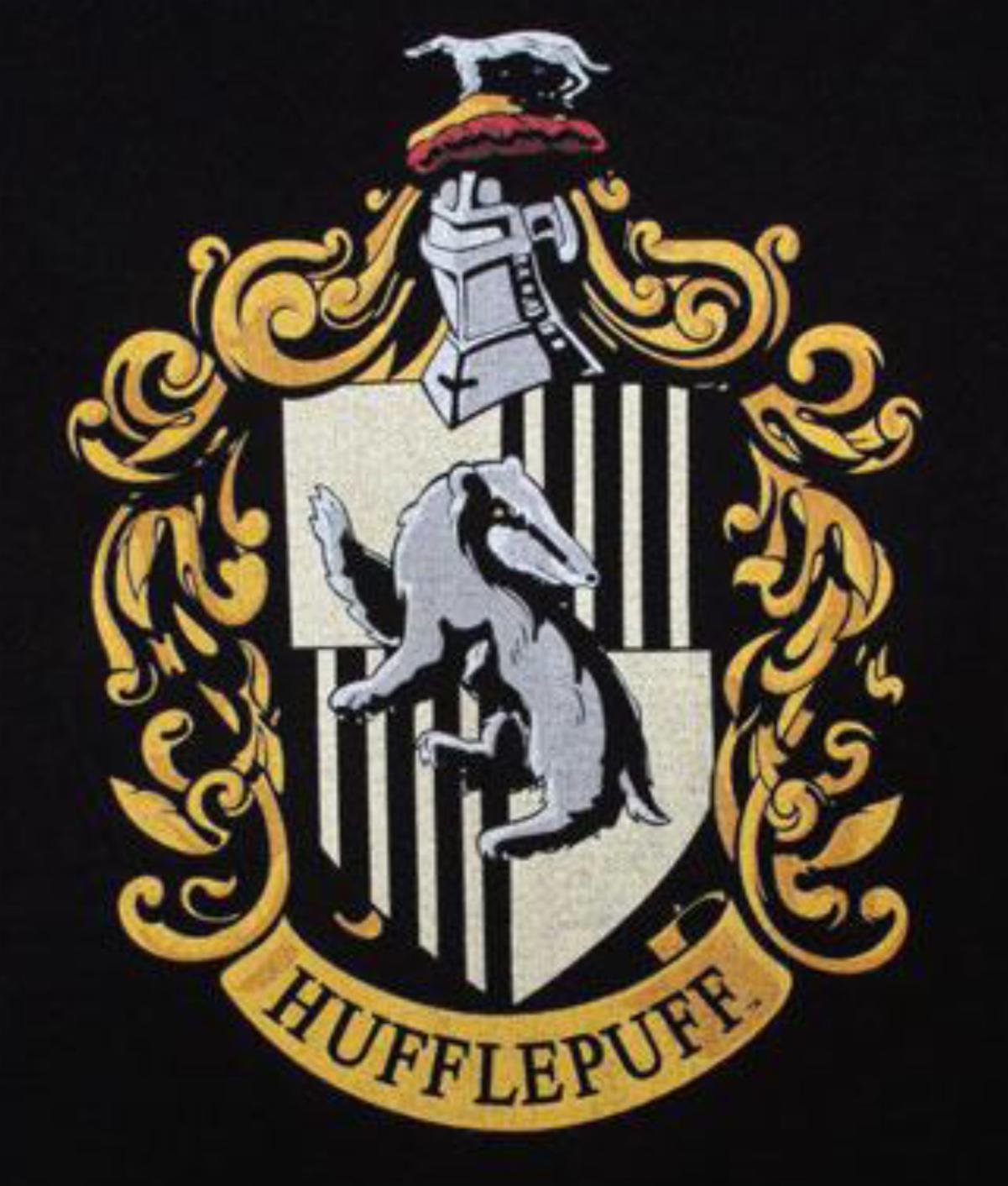 Hufflepuff Hufflepuff