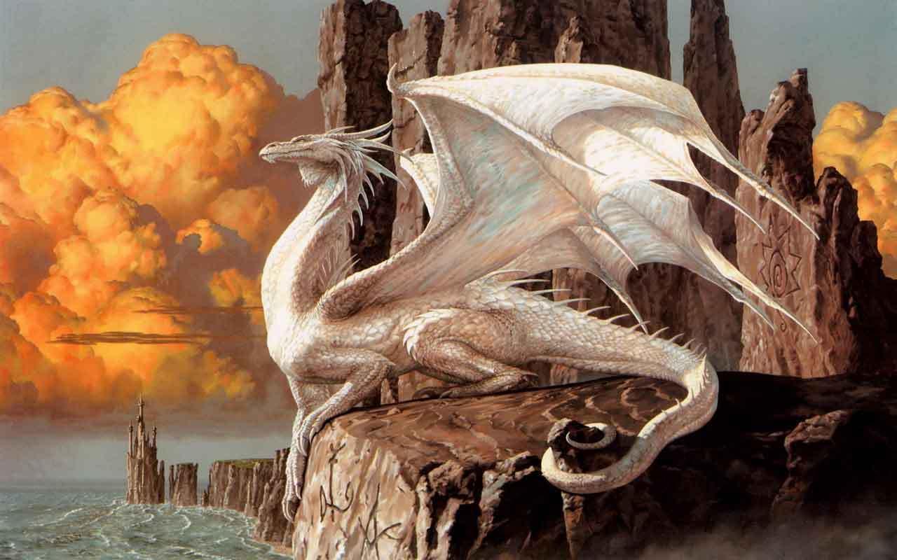 Dragon Dragon