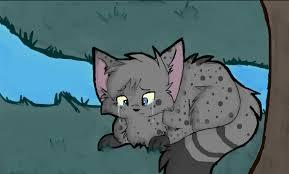 Ashfur Ashfur