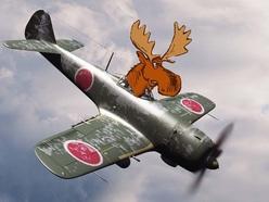 Moose Kamikaze Pilots Moose Kamikaze Pilots
