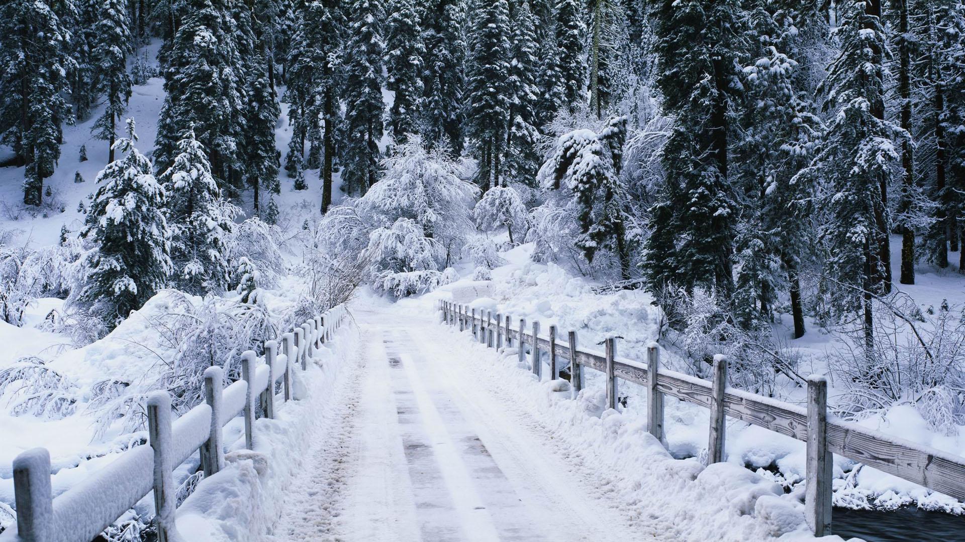 Cold Weather (includes snow, hail, sleet, etc.) Cold Weather (includes snow, hail, sleet, etc.)