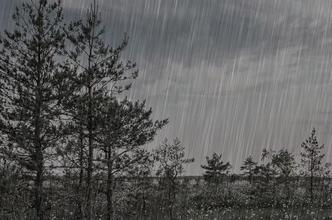 Waking up rainy at 7h00 AM, stops raining by 1h00 PM and gets sunny by 2h00 PM until 7h00 PM Waking up rainy at 7h00 AM, stops raining by 1h00 PM and gets sunny by 2h00 PM until 7h00 PM