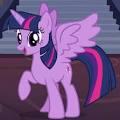 Twilight Sparkle Twilight Sparkle
