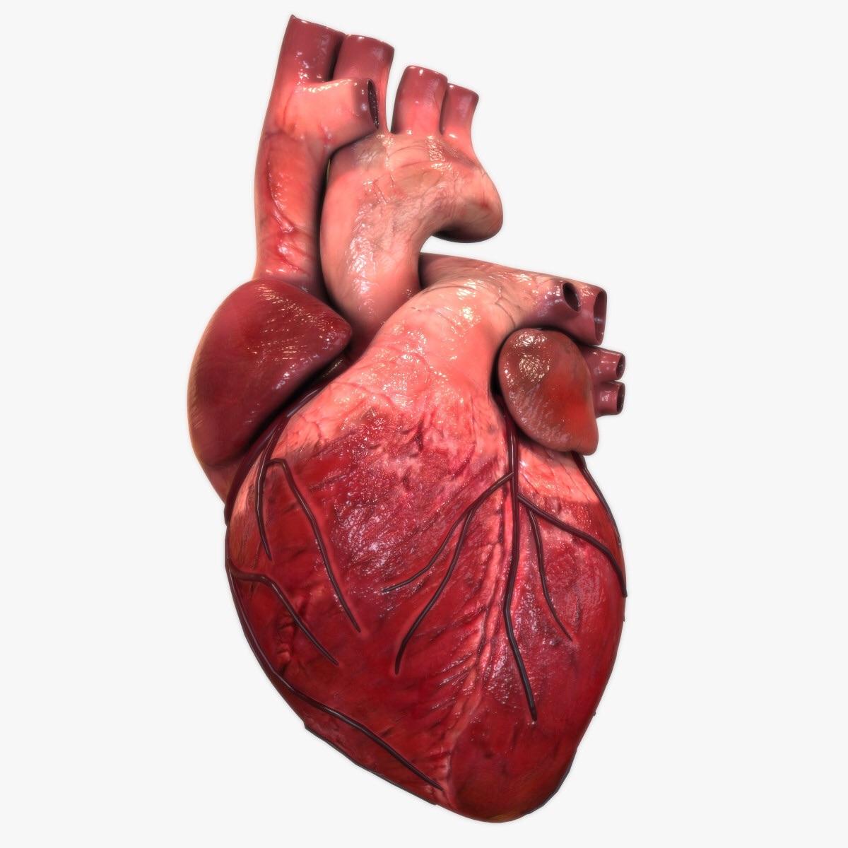 Heart Heart