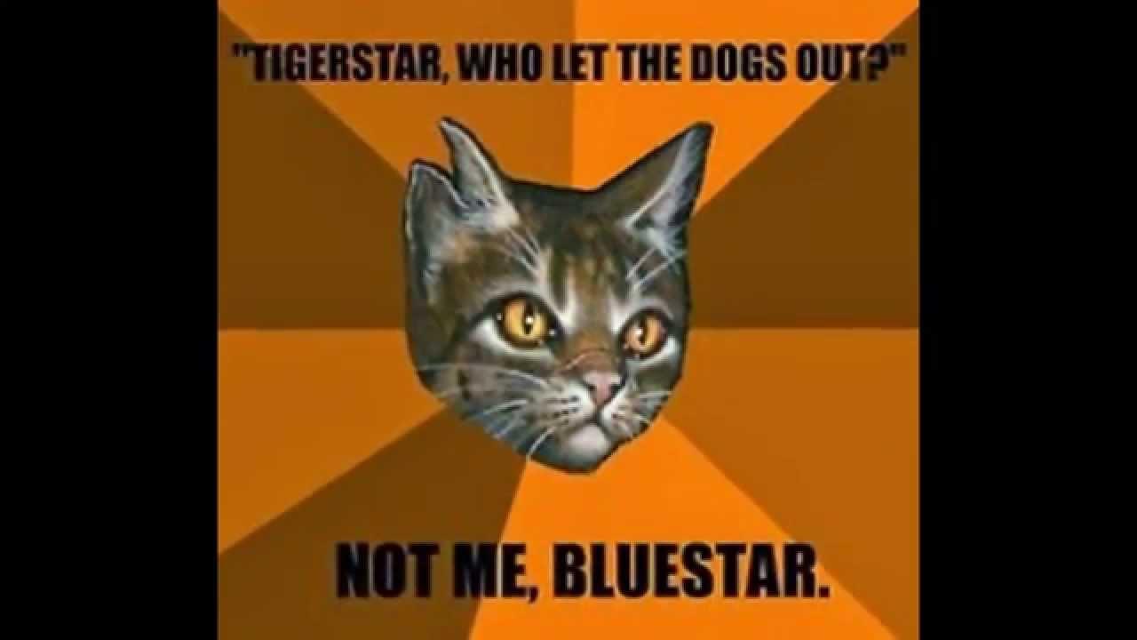 Tigerstar lies Tigerstar lies