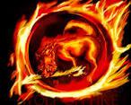 Fire wolf Fire wolf