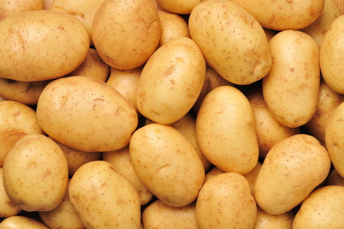 Normal Potatoes