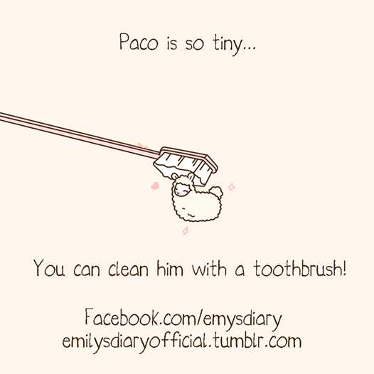 Paco Paco