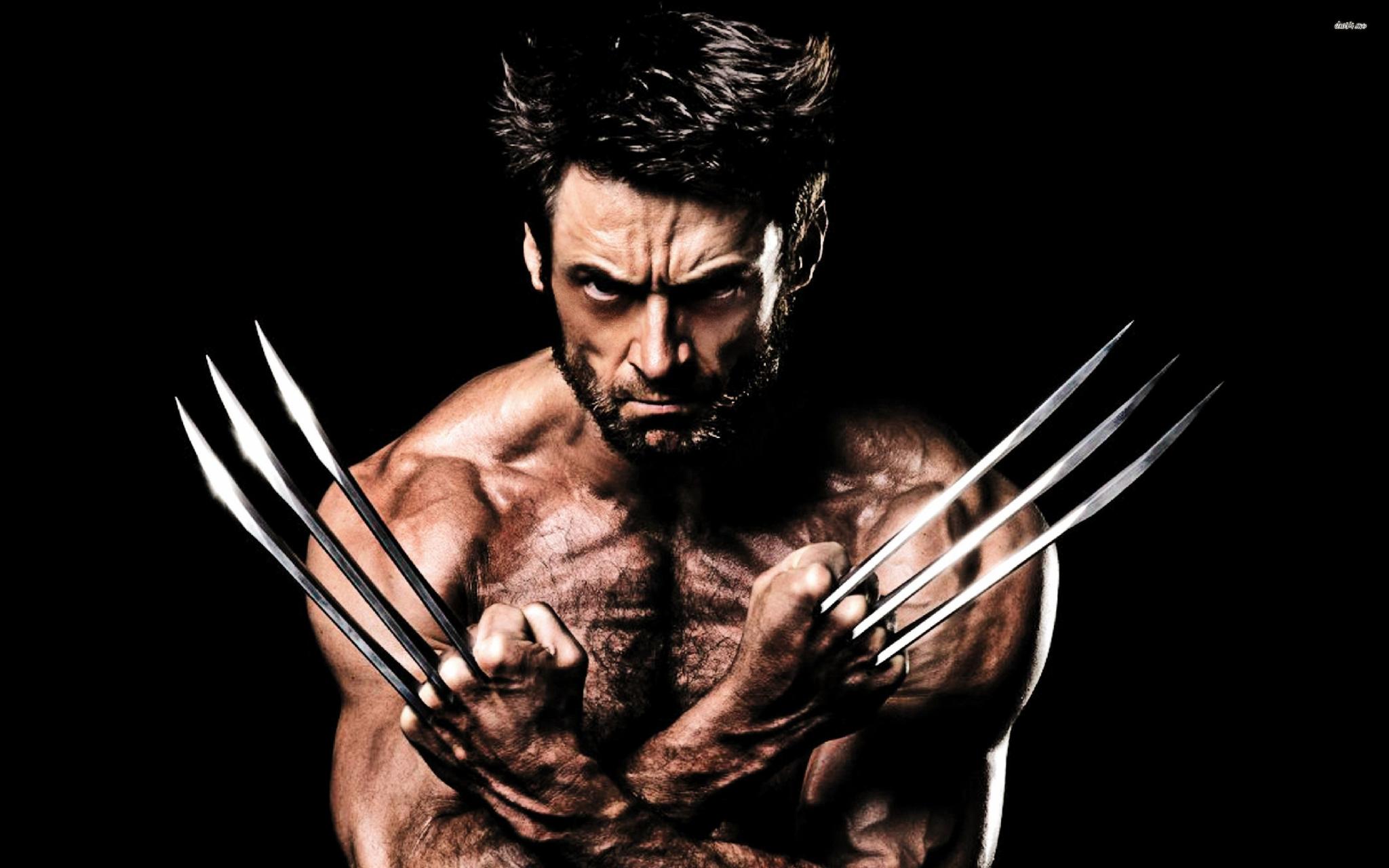 Wolverine Wolverine