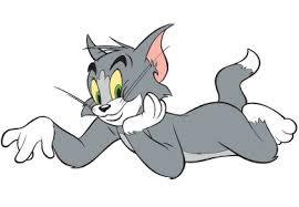 tom tom