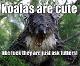 Koala.The.Bear.Of.DEATH! New stuff is good stuff, (Thanks Angelic.Pheonix for the suggestion)