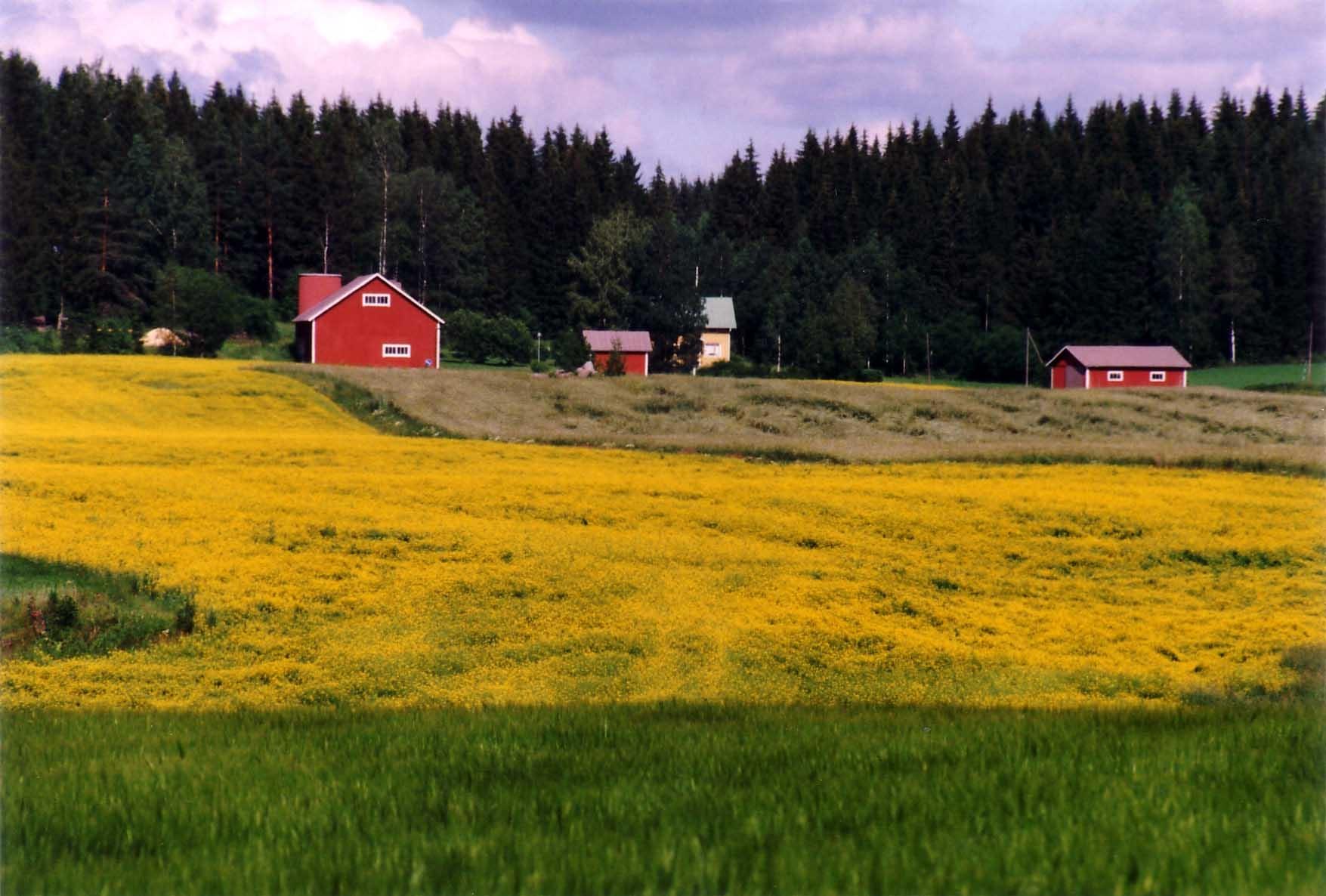 Rural Rural