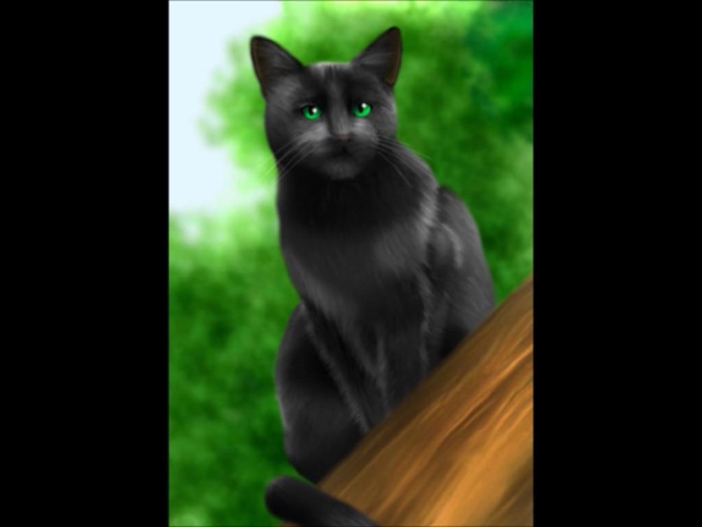 Hollyleaf