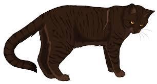 Bramblestar Bramblestar