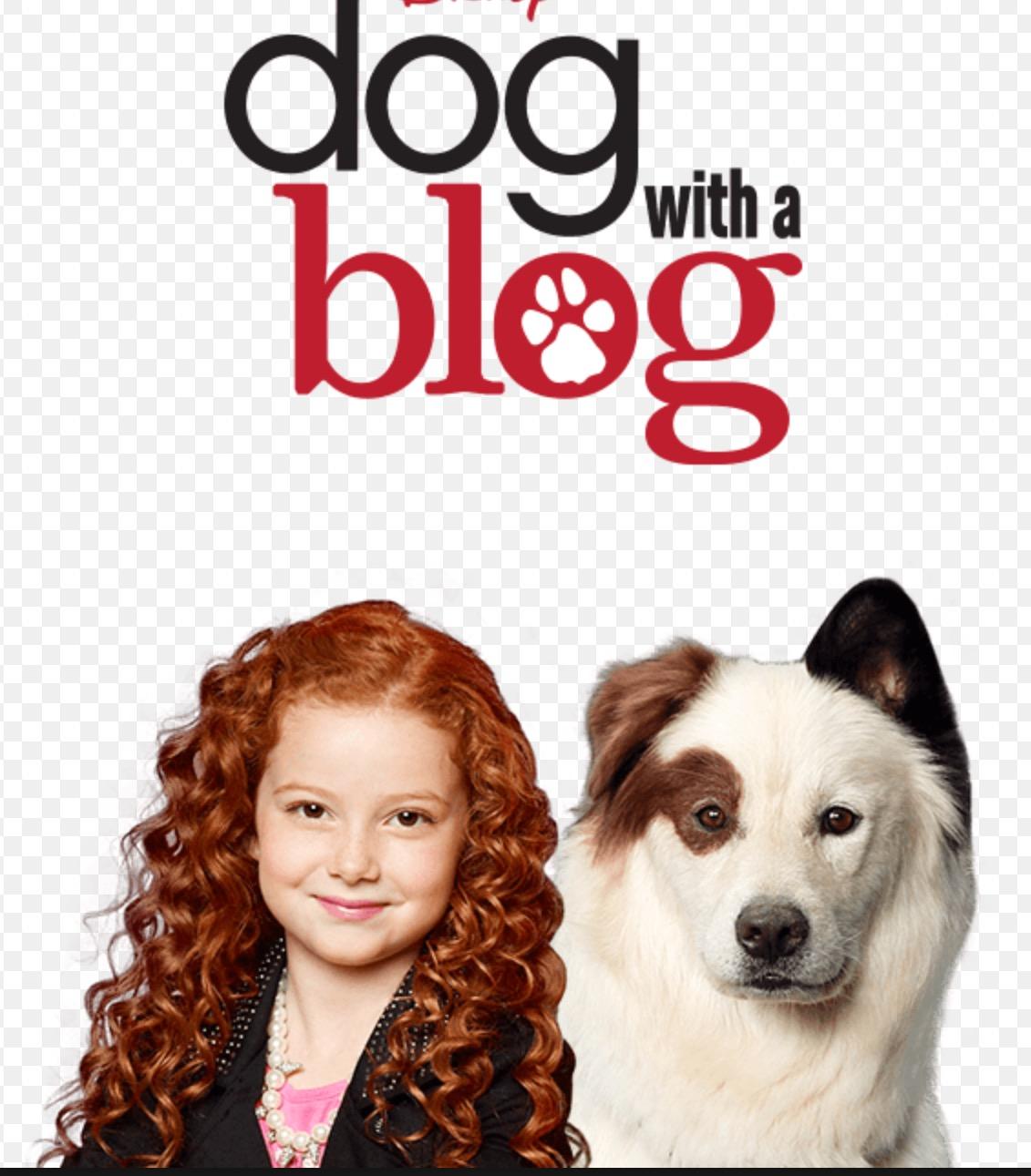 Dog with a blog (me: WHY :(()