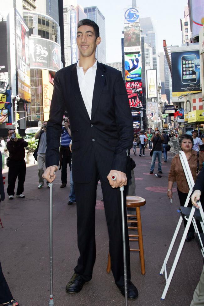 Tallest Person Tallest Person