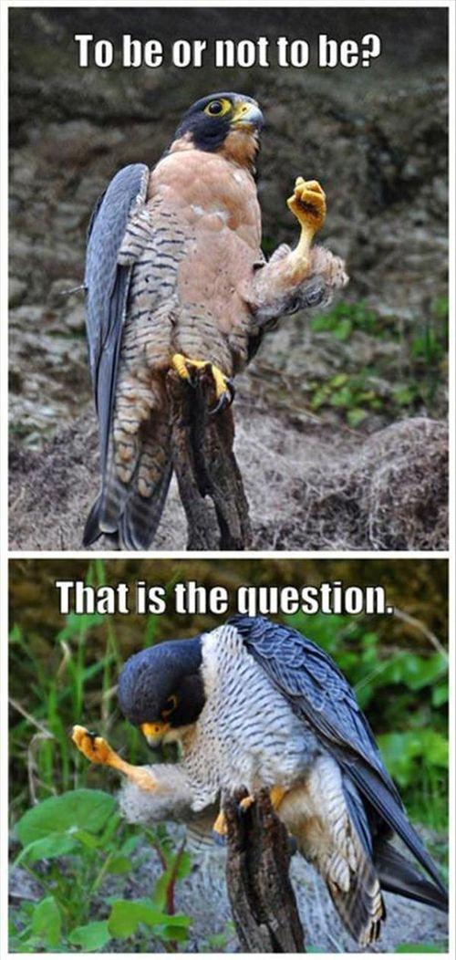 That is the question... That is the question...