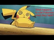 Pikachu dies while questions live on