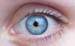 Light Blue Light Blue