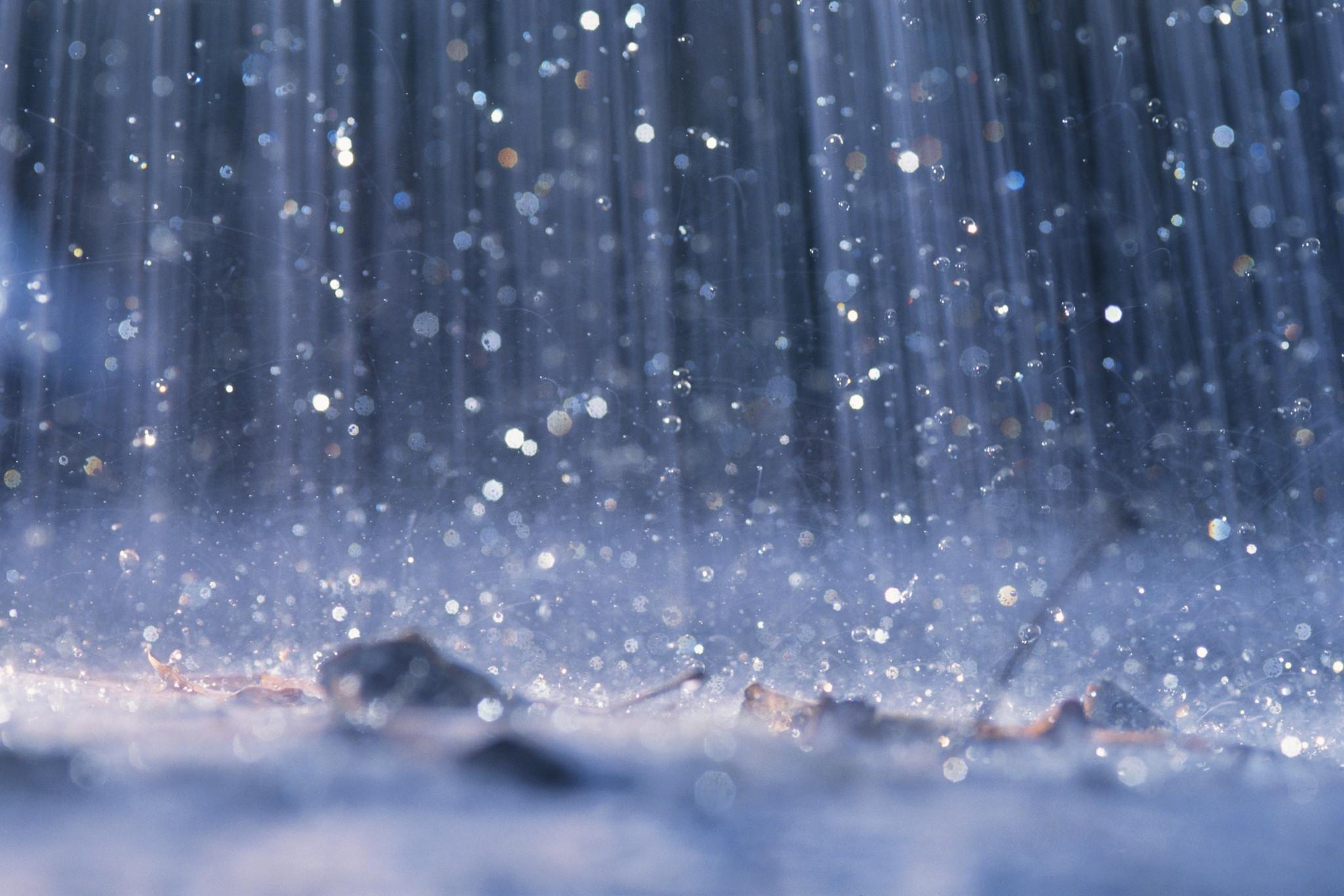 Rainy Days Rainy Days