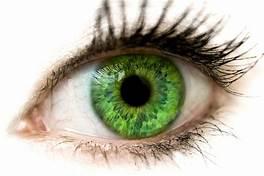 Green Green
