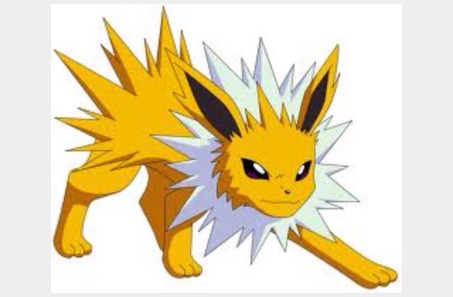 Jolteon Jolteon