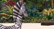 Marty the zebra (Madagascar)