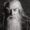 Gandalf The Grey Gandalf The Grey