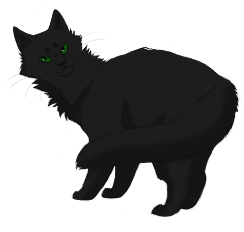 Hollyleaf