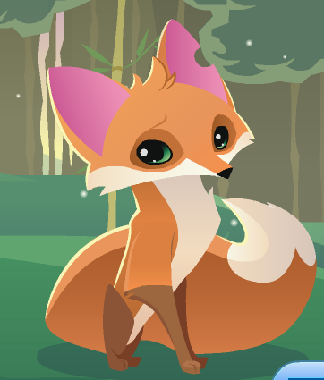 Fox Fox