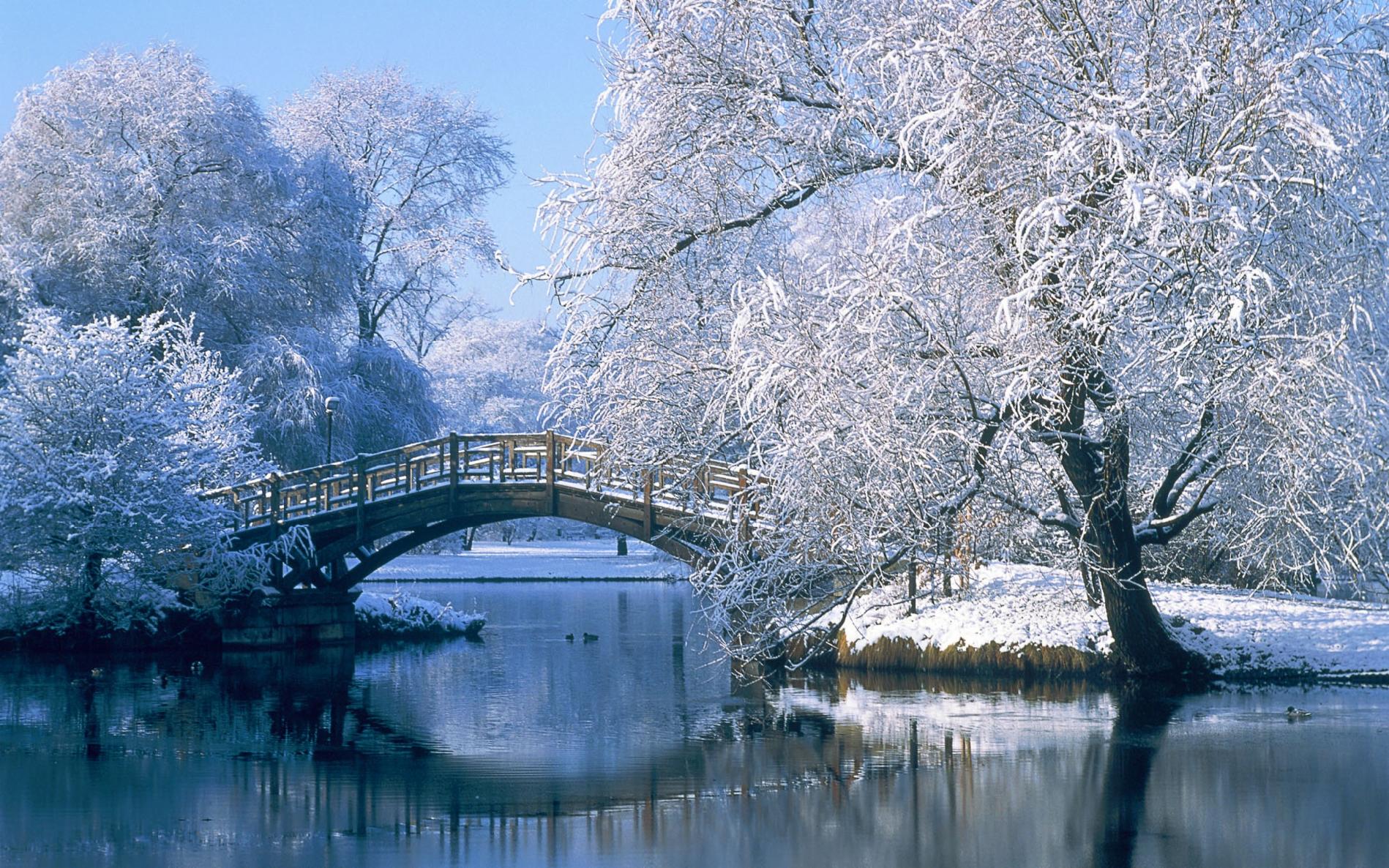 Winter Winter