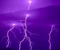 Purple Purple