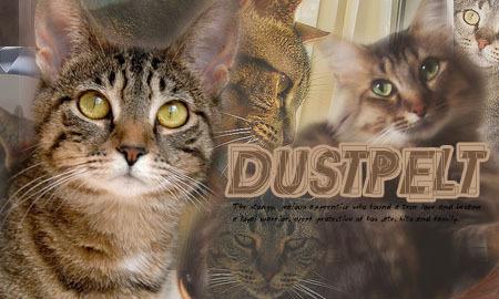 Dustpelt Dustpelt