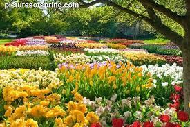 Spring Spring